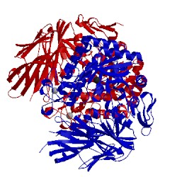 Image of CATH 5wzp