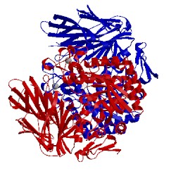 Image of CATH 5wzq