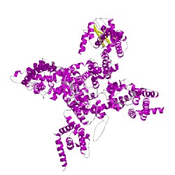 Image of CATH 5x0mA