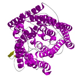 Image of CATH 5x19N