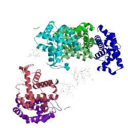 Image of CATH 5x2s