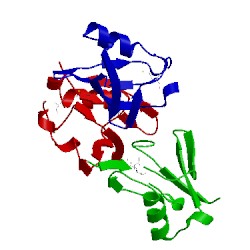 Image of CATH 5x3p