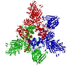 Image of CATH 5x5c