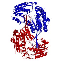 Image of CATH 5x5u