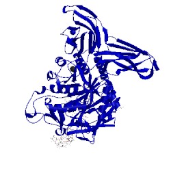 Image of CATH 5x7h