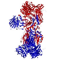 Image of CATH 5x7r