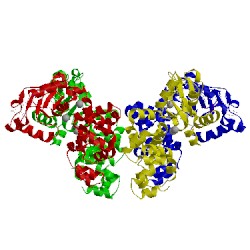 Image of CATH 5x9g