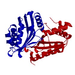 Image of CATH 5x9j