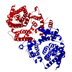 Image of CATH 5x9r