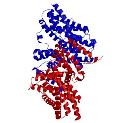 Image of CATH 5xas