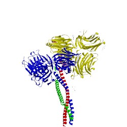 Image of CATH 5xau