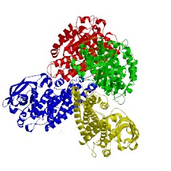 Image of CATH 5xb8