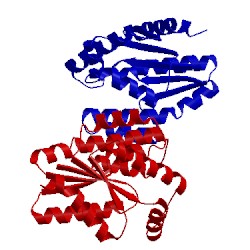 Image of CATH 5xbh