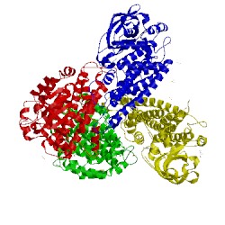 Image of CATH 5xdc