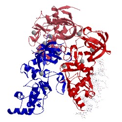 Image of CATH 5xfp