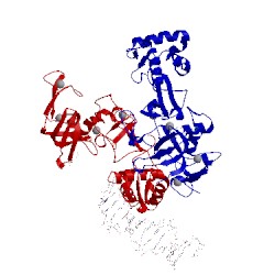 Image of CATH 5xfr