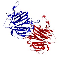 Image of CATH 5xgs