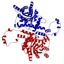 Image of CATH 5xia