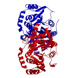 Image of CATH 5xnh