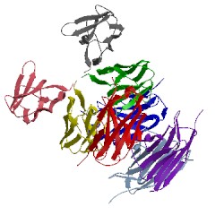 Image of CATH 5xp1