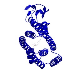 Image of CATH 5xpd