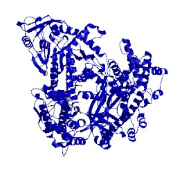 Image of CATH 5xus