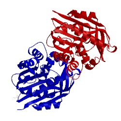 Image of CATH 5xvq