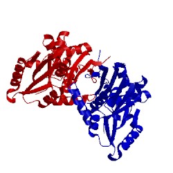 Image of CATH 5xw3