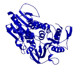 Image of CATH 5y4z
