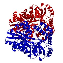 Image of CATH 6anv