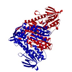 Image of CATH 6aon