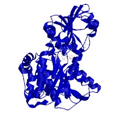 Image of CATH 6aph