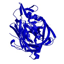 Image of CATH 6apr
