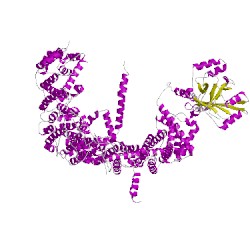 Image of CATH 6b3rC