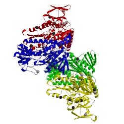 Image of CATH 6b4o