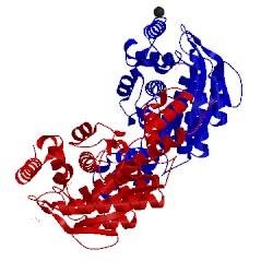 Image of CATH 6b5f