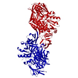 Image of CATH 6b6l