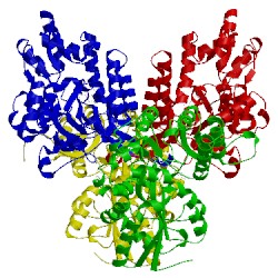 Image of CATH 6eqz