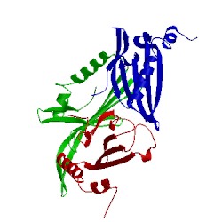 Image of CATH 6msf