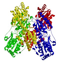 Image of CATH 6pfk