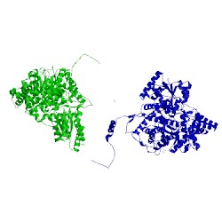 Image of CATH 6req