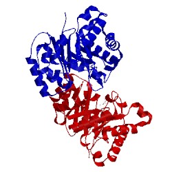 Image of CATH 6tim