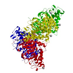 Image of CATH 7mdh