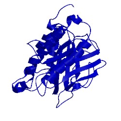 Image of CATH 7ptd