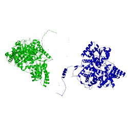 Image of CATH 7req