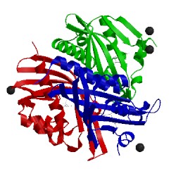 Image of CATH 7std