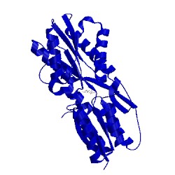 Image of CATH 8abp