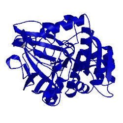 Image of CATH 8adh