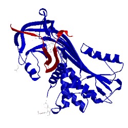 Image of CATH 8api