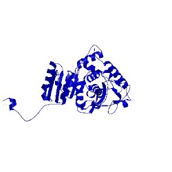 Image of CATH 8ldh
